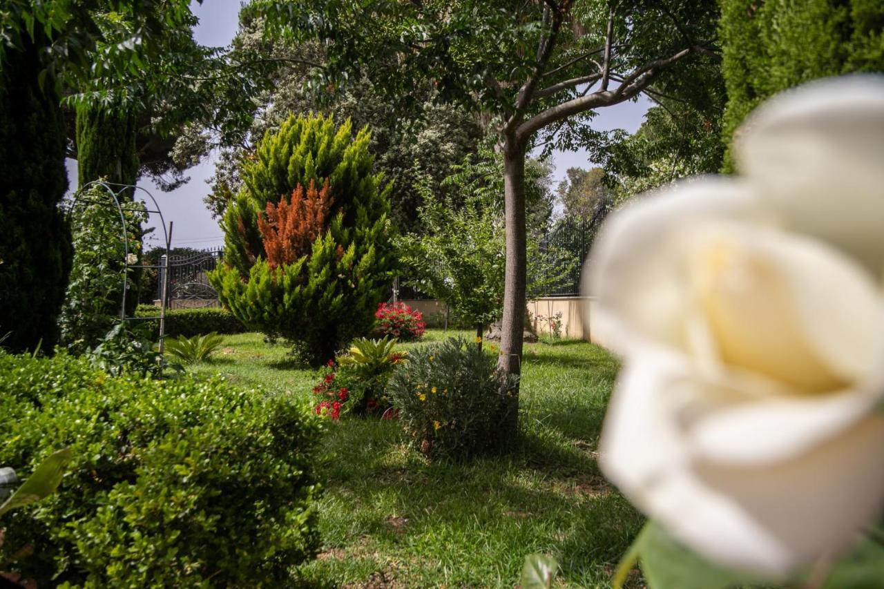 Royal Rooms Terracina Dış mekan fotoğraf